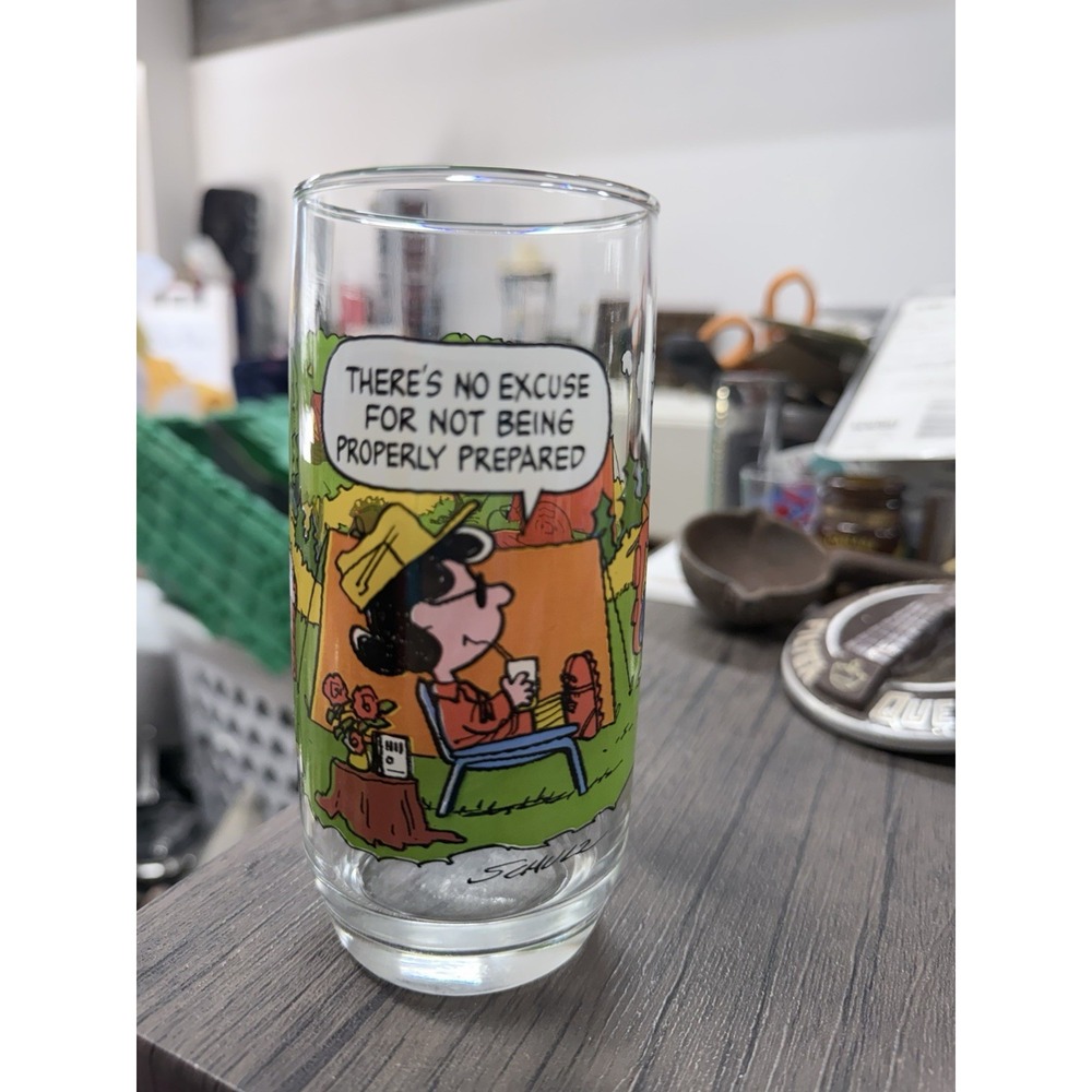 VTG McDonald's Camp Snoopy Glass Charlie Brown Linus Lucy Woodstock Sally EUC